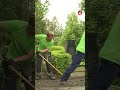 Fortfarande 17 000 sommarjobb att söka via Arbetsförmedlingen
