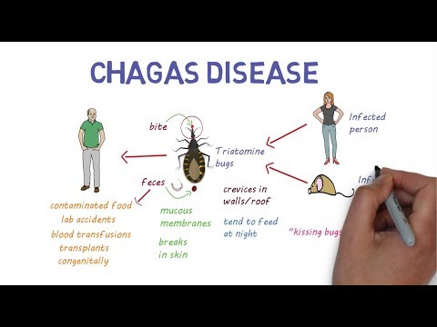 Chagas Disease Has Spread Outside of Latin America, Carries High Risk of Heart Disease