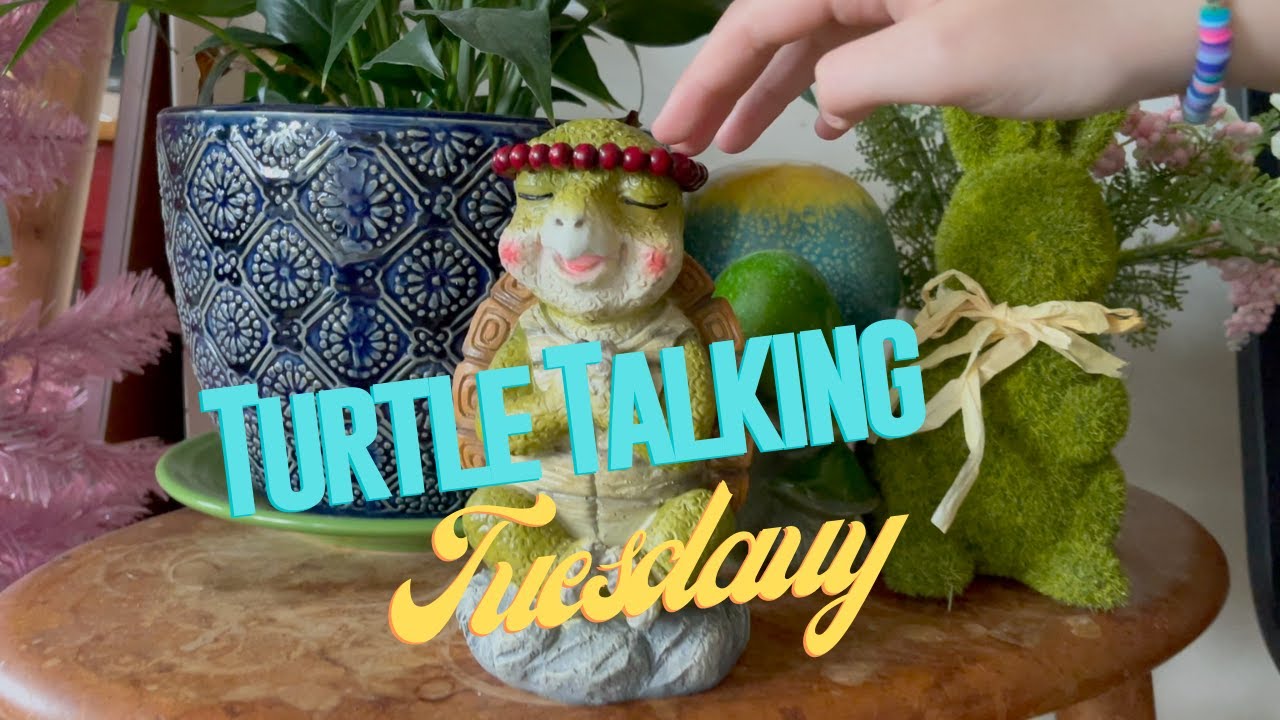 Turtle Talking Tuesdays - Introduction to finding the turtle - YouTube