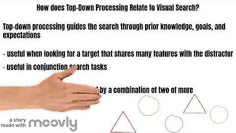 PSYC 4145 Lab 9- Visual Search Video Project