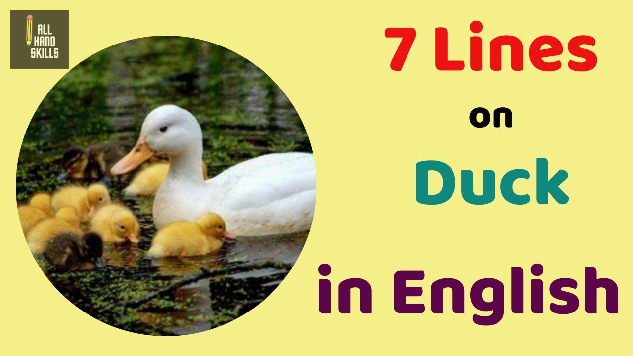 Best 7 Easy on DUCK in English - Easy Short Essay on DUCK