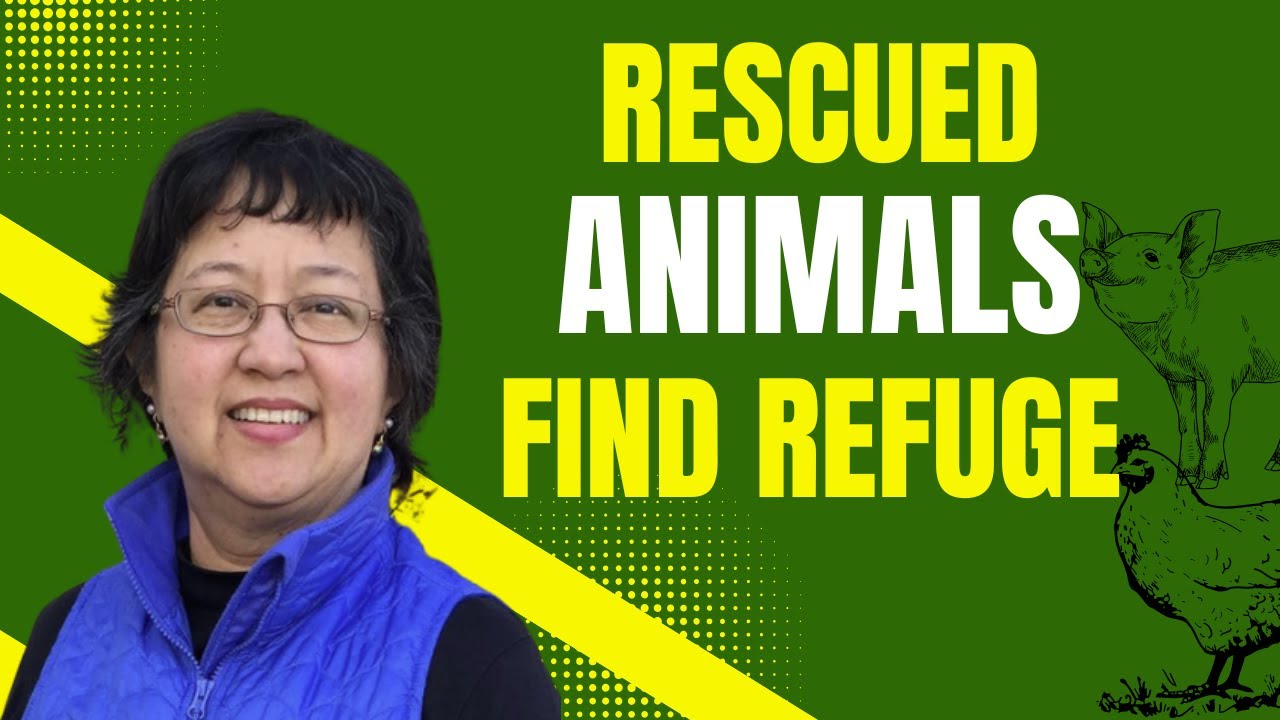 020: Inside Unity Farm Sanctuary with Kathy Halamka: A Place of Safety and Compassion