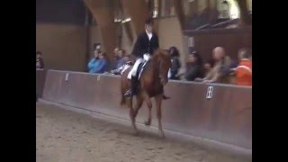 Zoëlaine Op Prinsenstaddressuur 2007