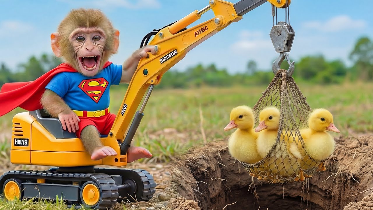 🐒🦆 Kind Mono Monkey Rescues Ducklings in Distress After Heavy Rain | Heartwarming Ending 💖