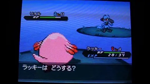 1000以上 ポケモン ブラック ルカリオ 入手 アイデア画像の図
