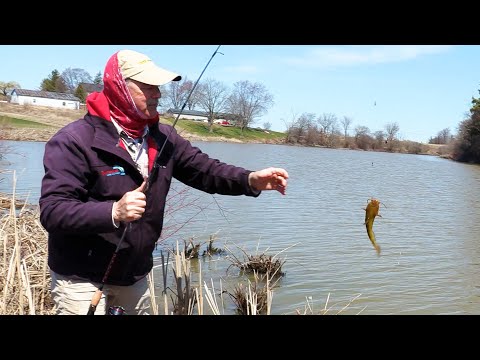 Shore Fishing for Bullhead Catfish