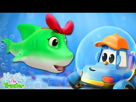 Canzone del Cucciolo di Squalo + Di Più Apprendimento Video per Bambini