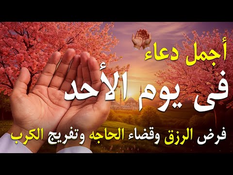 دعاء فى يوم الأحد المستجاب دعاء يوم 22 من شهر رجب للرزق والشفاء العاجل وقضاء الحوائج 4k 