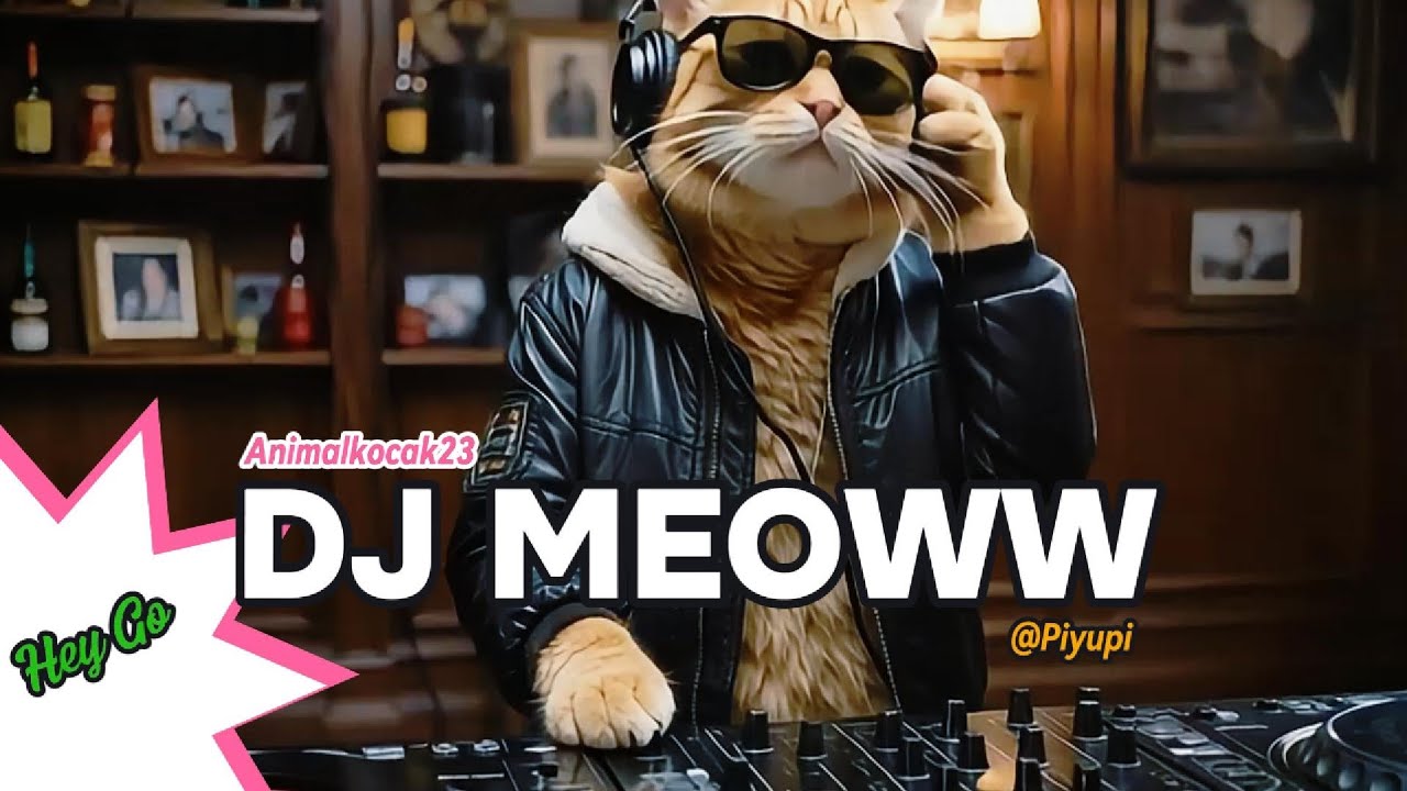 😻🎧DJ MEOWW🎧😻 HEY GO MEOWW BASS GO BRRR 🎧🔊😎