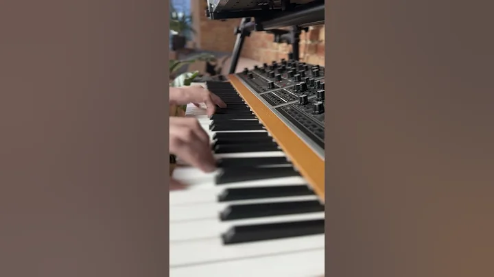 Soulful chords on the Moog #synthesizer #moogone #keyboardist #sounddesign #moogsynthesizers