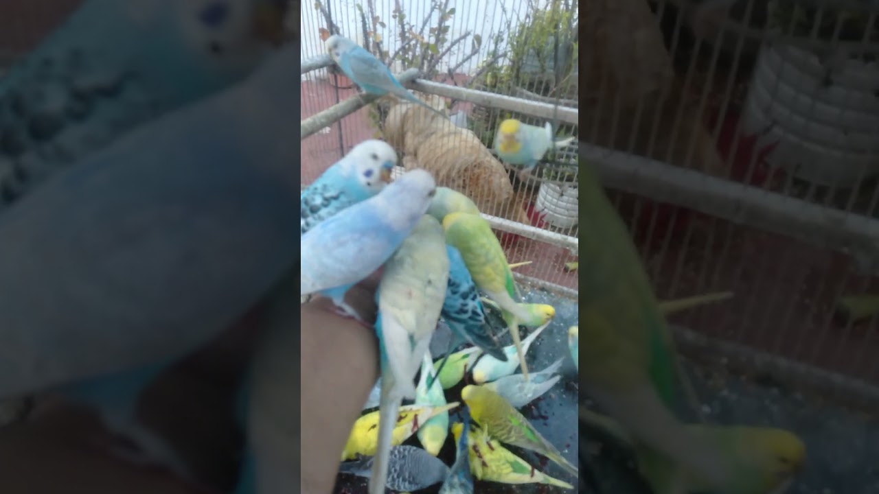 Warum erstarrt er in dieser Sekunde Kritisch sofort