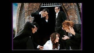 Si Decides volver - Lutter