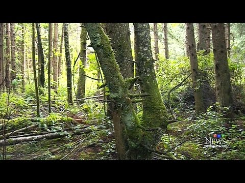 Video: The Hunters Recorded The Eerie 