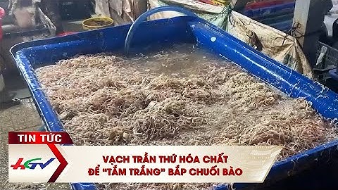 Vạch trần thứ hóa chất để “tắm trắng” bắp chuối bào | Truyền hình Hậu Giang