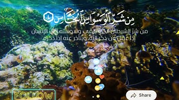 سورة الناس للقارئ محمد بن زاهر البارقي