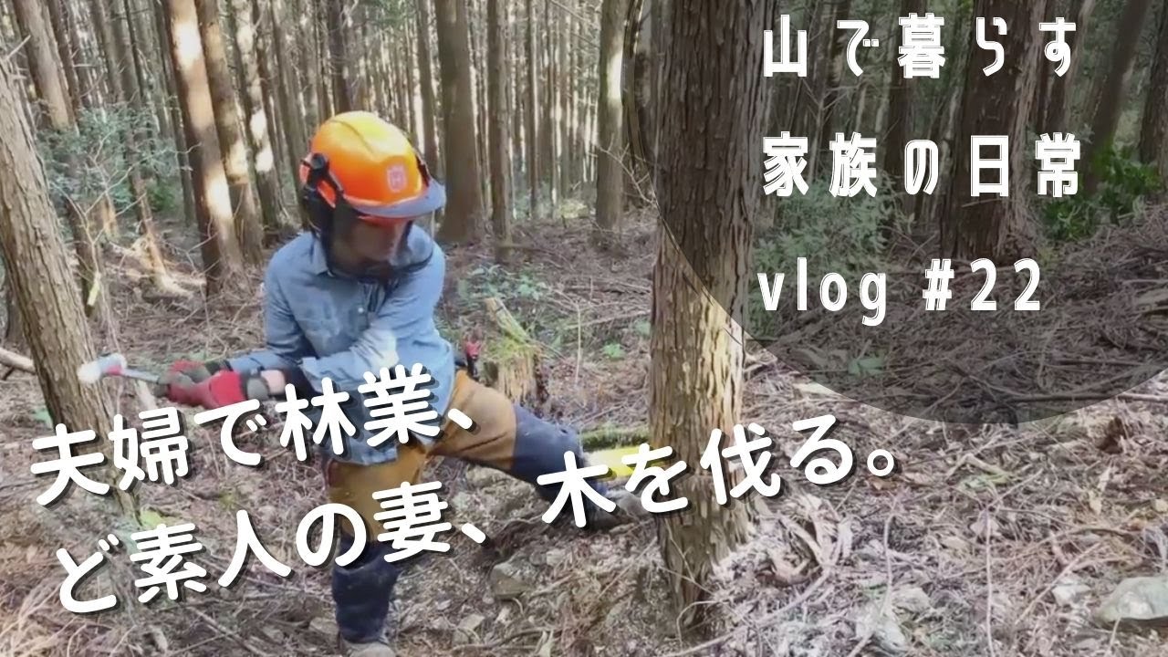 夫婦2人で働く林業現場のとある1日【木の伐採編】