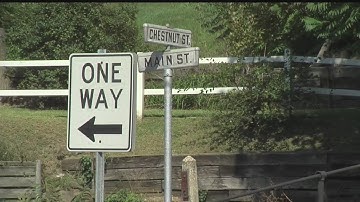 Local artist’s work to be auctioned off to help pay for Leetonia’s latest project