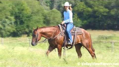 Lenas Sangria    ***For info, price, etc., go to our website*** Valley View Ranch