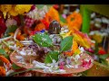 13th May || महामृत्युंजय मंत्र || Mahamritunjay Mantra Japa || rkmdelhi