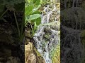 Butterfly pavilion waterfall Xcaret Playa del Carmen Mexico tropical Caribbean jungle park #travel