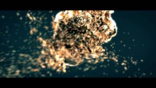 GOLD \\ Realflow 2014 Experiment