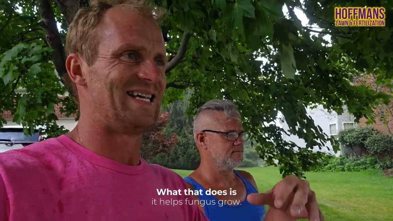 Why July Causes Lawn Fungus & How to Prevent It | Dollar Spot & Brown Patch Treatment