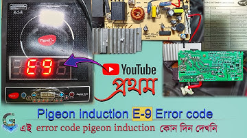 pigeon induction e9 error