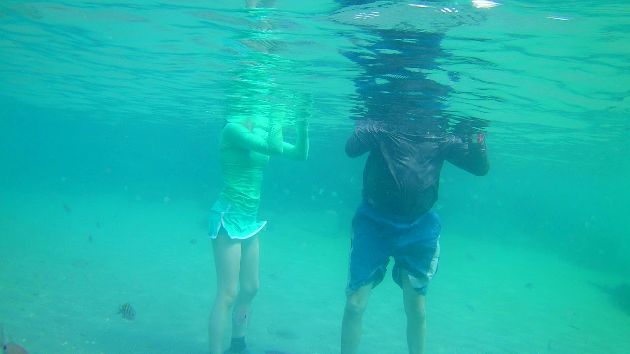Peanut Island Snorkeling Oct 2021 YouTube