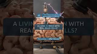 🧪 A living AI brain with real brain cells?