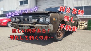 【旧車】鍵もない、書類もない、完全不動車【日産230セドリック】