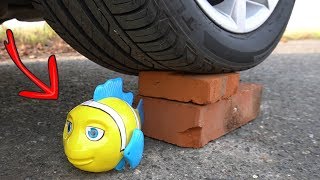 Crushing Soft & Crunchy Things by Car! - Surprising sounds | Experiment fish vs Car screenshot 1