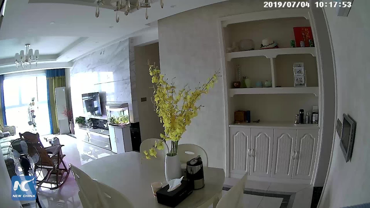 CCTV captures moment 5.6-magnitude quake hits Sichuan, China