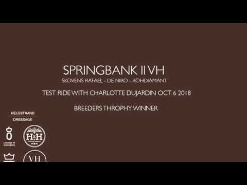 SPRINGBANK II VH - with Charlotte Dujardin in the final of Breeders Trophy 2018