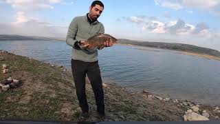 صيد سمك الكارب بعجينة الفراولة في الشتاء، sazan avi şamlar