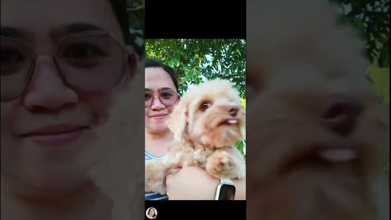 LisaMomski Vlog SILENT LIVE! ME & MY FUR BABY 
