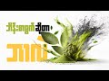 ဘိန်းစာရွက်ဆိုတာ။ ( What's Kratom and Tobacco)