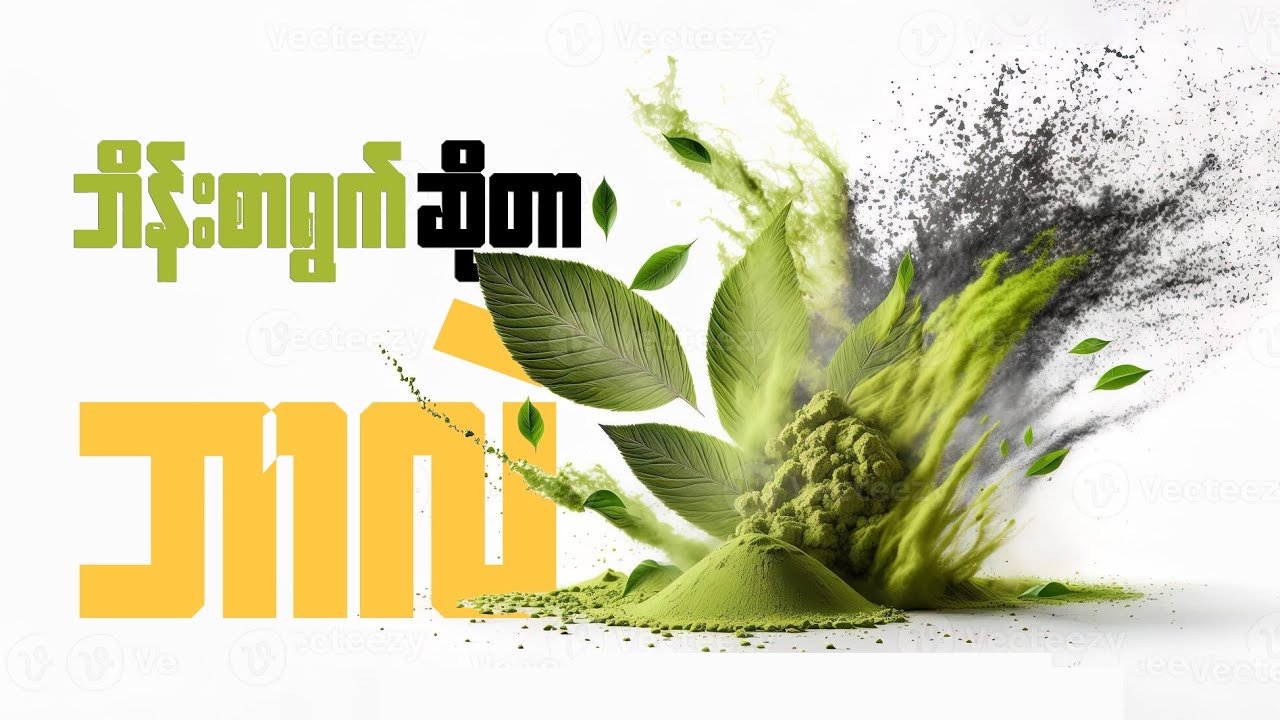 ဘိန်းစာရွက်ဆိုတာ။ ( What's Kratom and Tobacco)