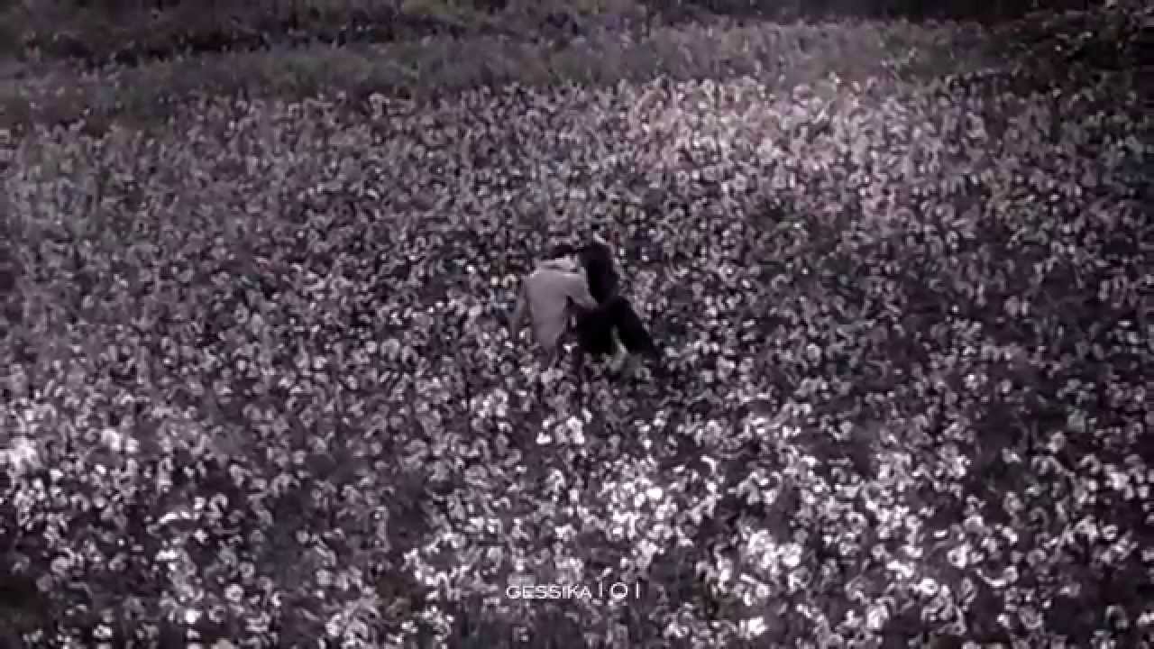 Love Story | Edward & Bella