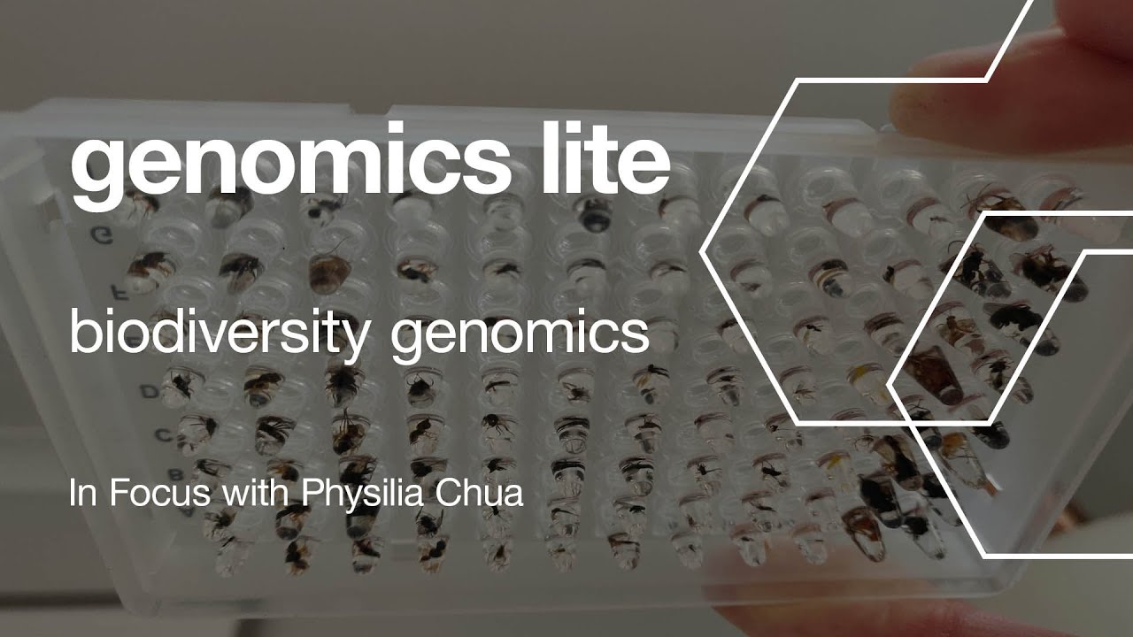 Genomics Lite: Biodiversity Genomics