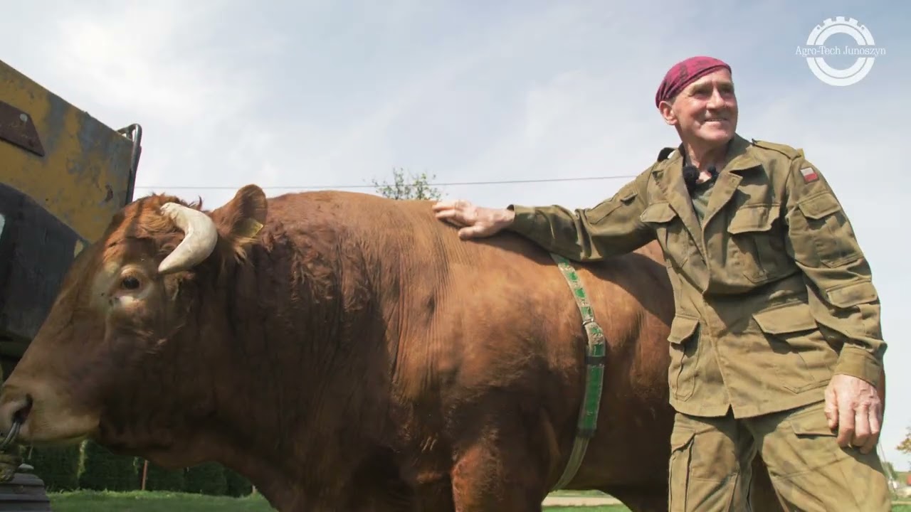 Czochradło Böck Silosysteme w akcji – test u Zaklinacza Byków!