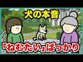 犬の言葉聞きに来たのに「ねむたい」ばっかり【アニメ】【コント】