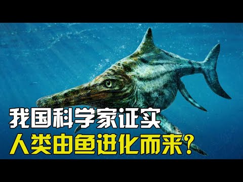 我国科学家证实，人类是由海洋古鱼进化而来，其过程长达近5亿年 【太空科学站】