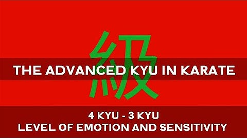 THE GREEN BELT  |  ADVANCED 4 - 3 KYU  |  KYOKUSHIN VLOG-27