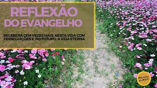 Reflexão do Evangelho - Receberá cem vezes mais nesta vida com perseguições...