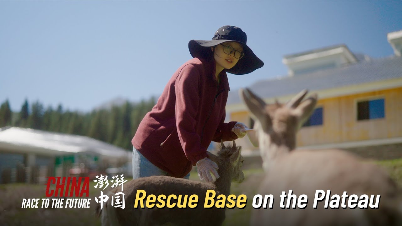 Resuce Base Race to the Future | Rescue Base on the Plateau - YouTube