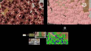 Up To Faster 30 Parison