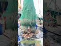 漁網を引き揚げる瞬間：海の恵みが船に降り注ぐ