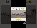 #viralvideo #funnyvideo #fypviral #officialmichaelfunny