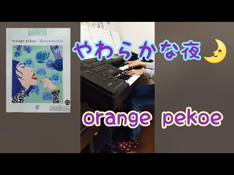 やわらかな夜　orange pekoe