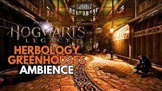 Herbology Greenhouses ASMR 🌱 | Hogwarts Legacy Ambience 🪴 Relax, Sleep & Study